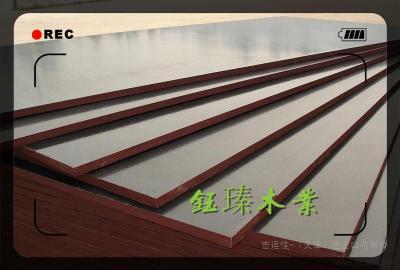 咸阳木塑建筑模板批发市场